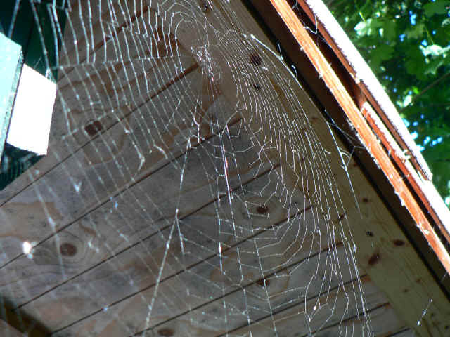 p1020777.jpg (712505 bytes)